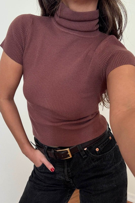 Nora Knit Turtleneck