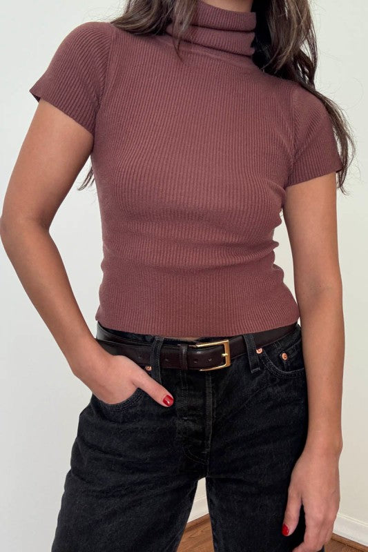 Nora Knit Turtleneck