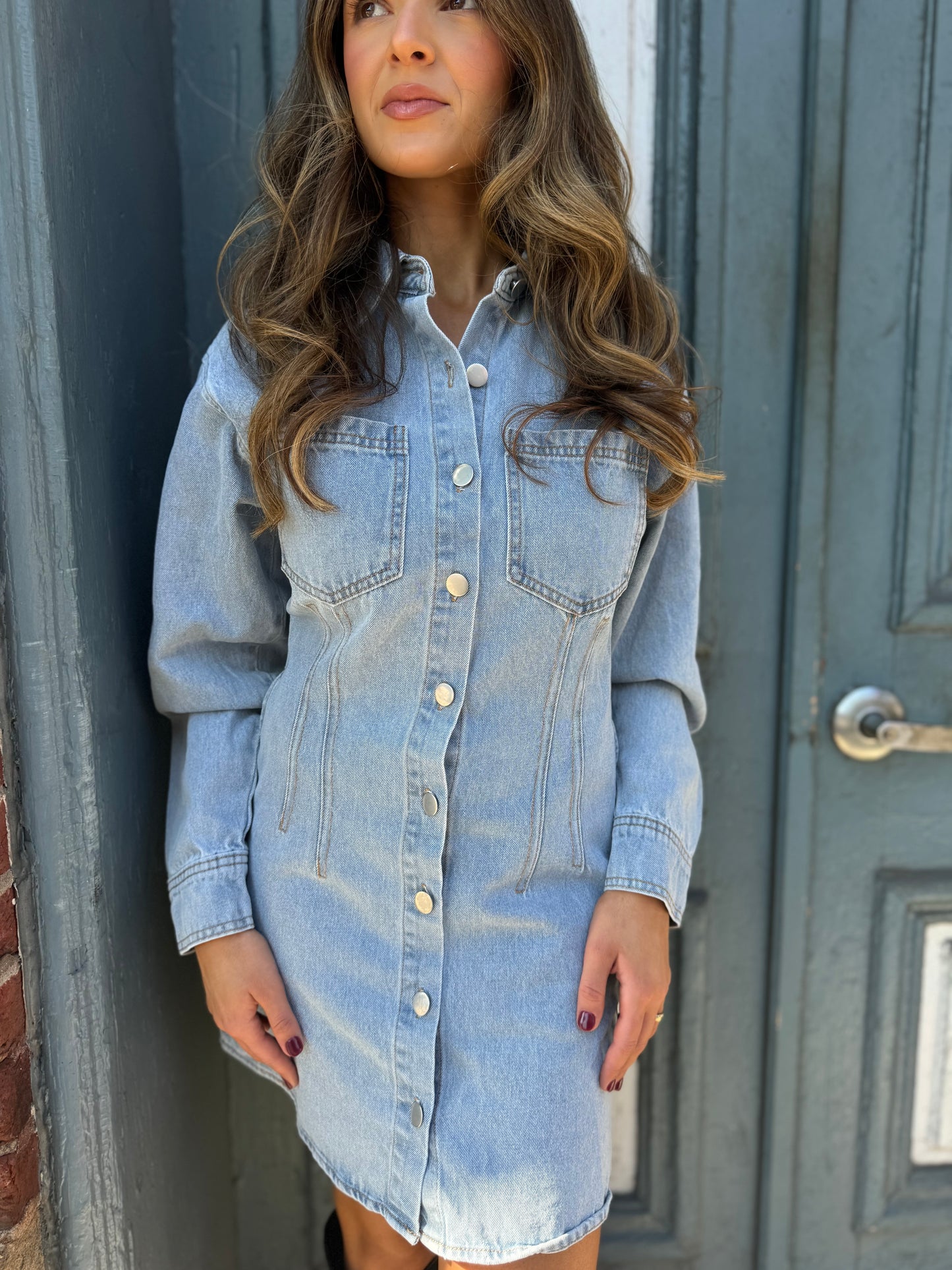 Estelle Denim Dress