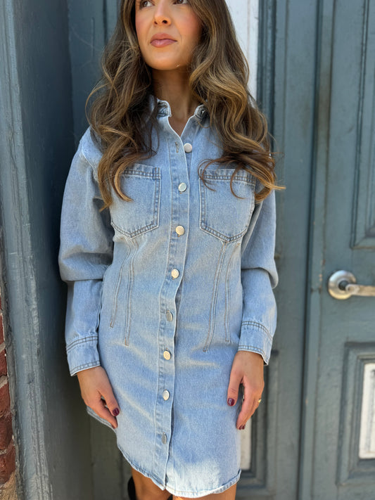 Estelle Denim Dress