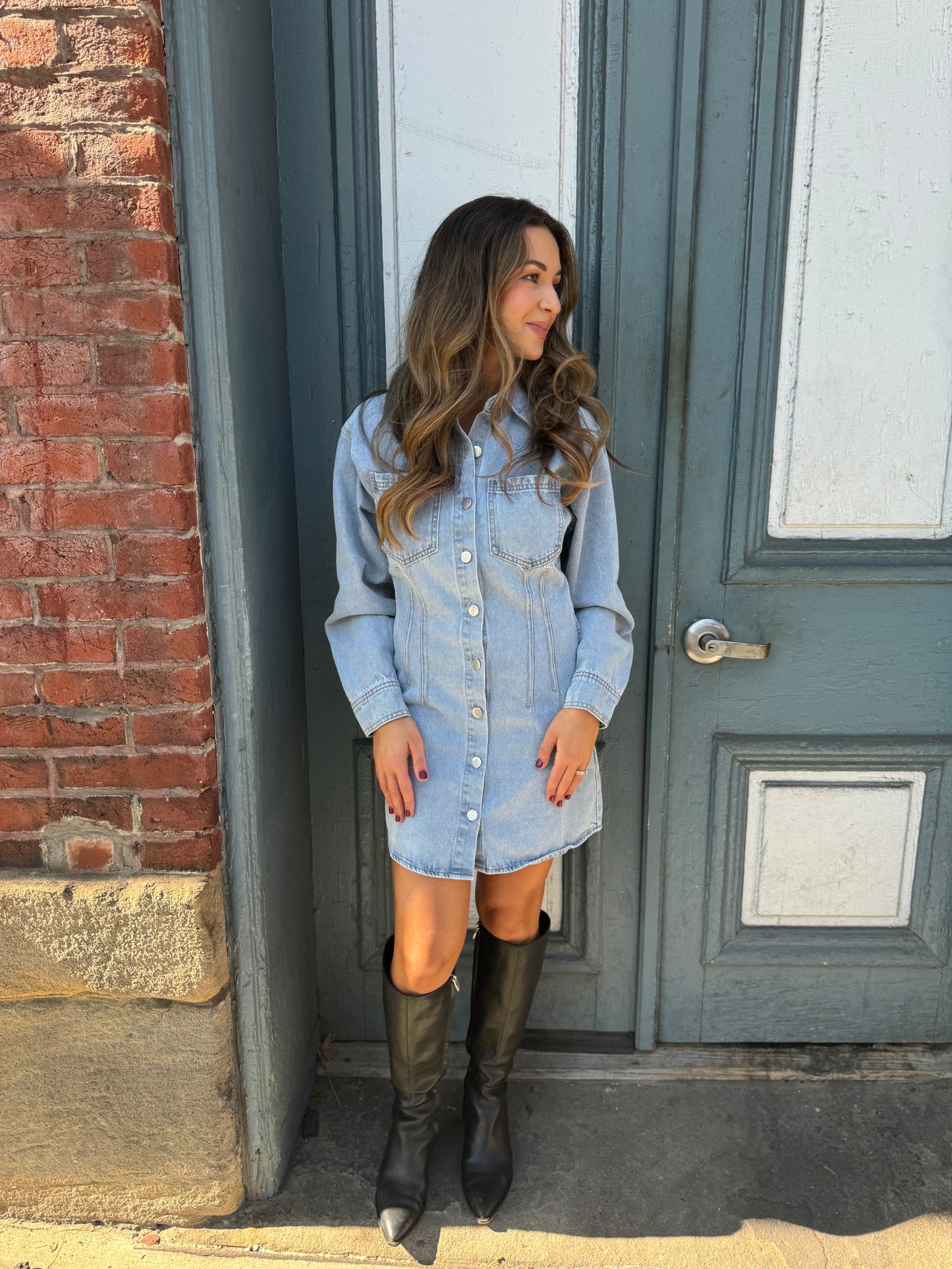 Estelle Denim Dress