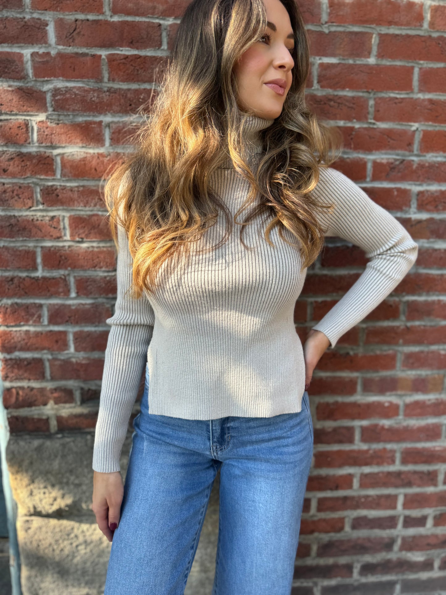 Lindsey Knit Turtleneck